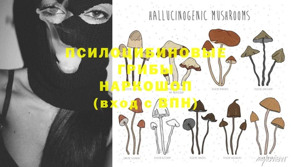 прущий лед Арсеньев