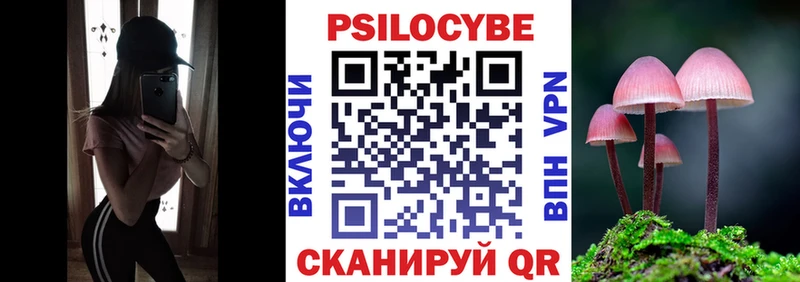 Псилоцибиновые грибы GOLDEN TEACHER  Приозерск 